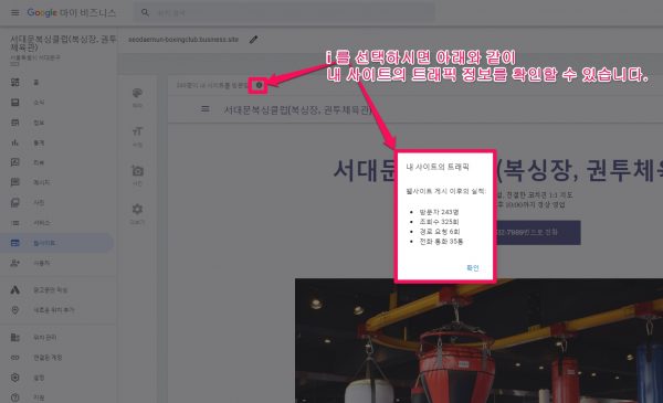 Google My Business_Website Statistics