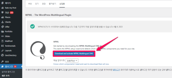WPML 등록-6