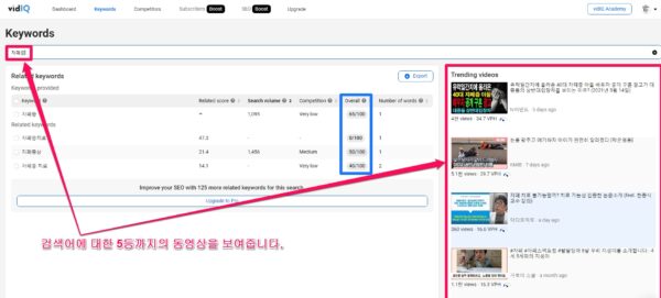 VidIQ Keyword Search-무료-3
