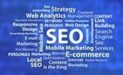 seo-SEO-e1645512032476-250-255